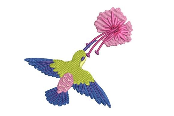 Exotic Hummingbird Embroidery Review
